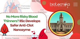 iisc-develops-safer-anti-clot-nanozyme-no-more-risky-blood-thinners