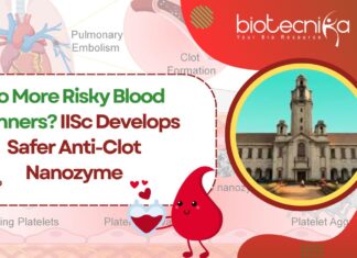 iisc-develops-safer-anti-clot-nanozyme-no-more-risky-blood-thinners