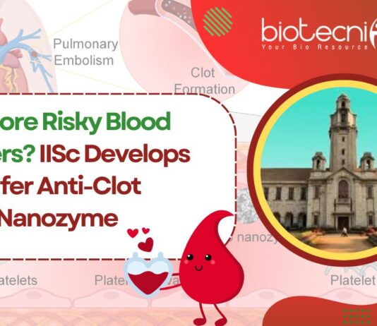 iisc-develops-safer-anti-clot-nanozyme-no-more-risky-blood-thinners