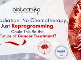 Future of Cancer Treatment? No Radiation. No Chemotherapy. Just Reprogramming.