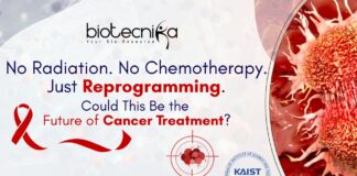 Future of Cancer Treatment? No Radiation. No Chemotherapy. Just Reprogramming.