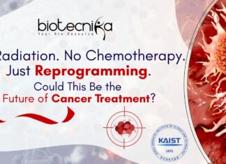 Future of Cancer Treatment? No Radiation. No Chemotherapy. Just Reprogramming.