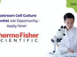 Upstream Cell Culture Scientist Job Opportunity - Apply Now!