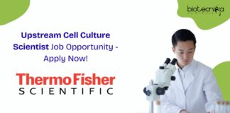 Upstream Cell Culture Scientist Job Opportunity - Apply Now!