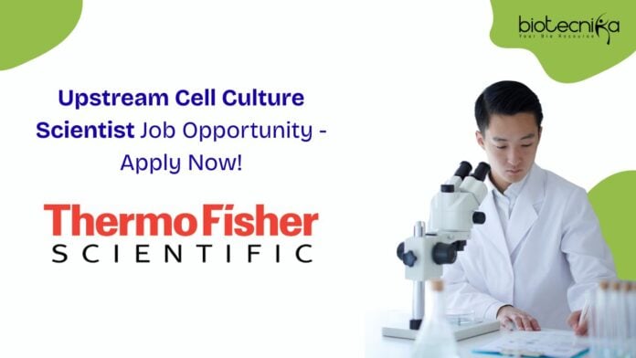 Upstream Cell Culture Scientist Job Opportunity - Apply Now!