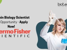 Protein Biology Scientist Job Opportunity - Apply Now!