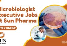 Microbiologist Executive Jobs at Sun Pharma