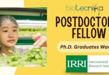 Postdoctoral Fellow in Mechanization & Postharvest Research