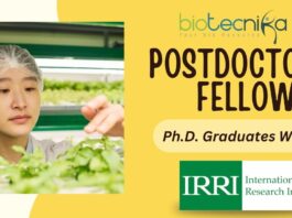Postdoctoral Fellow in Mechanization & Postharvest Research