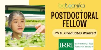 Postdoctoral Fellow in Mechanization & Postharvest Research
