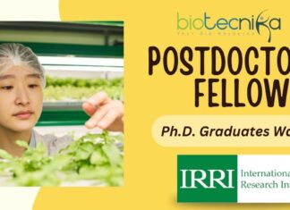 Postdoctoral Fellow in Mechanization & Postharvest Research