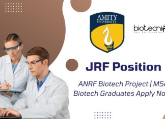 JRF Position at Amity University for ANRF Biotech Project | MSc Biotech Graduates Apply Now