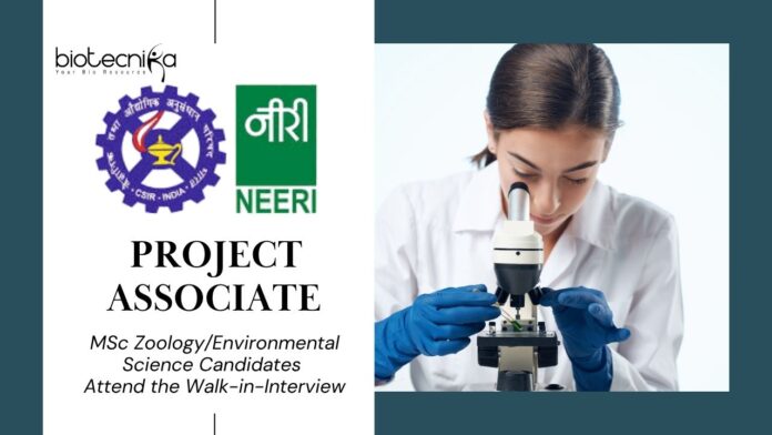 Project Associate Job at CSIR-NEERI l MSc Zoology/Environmental Science Candidates Attend the Walk-in-Interview 