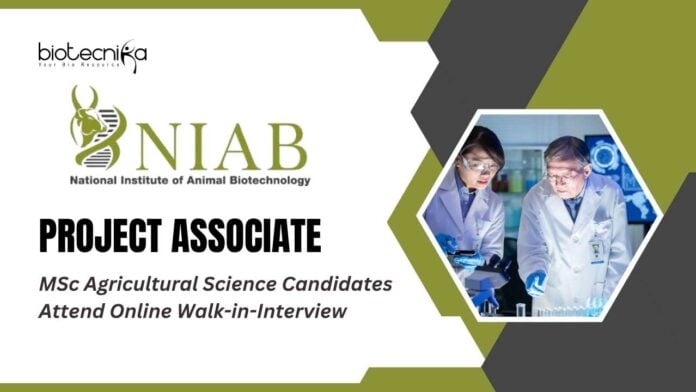 Project Associate Job at NIAB