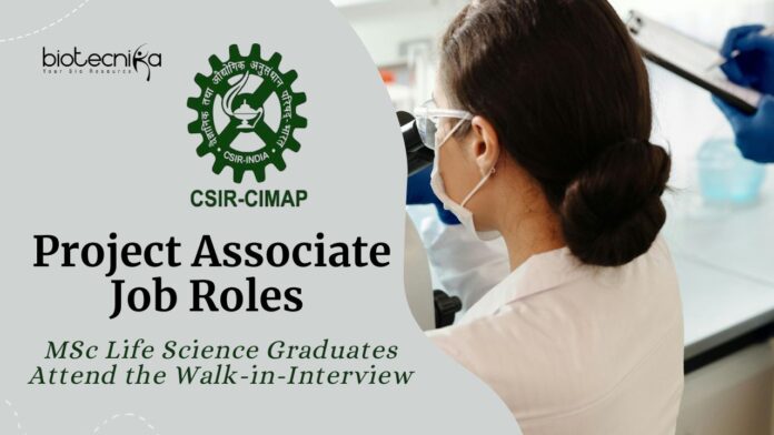 Project Associate Jobs at CSIR-CIMAP Bengaluru – MSc Life Science Graduates Attend the Walk-in-Interview