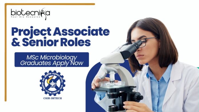 Project Associate & Senior Roles at IMTECH | MSc Microbiology Graduates Apply 