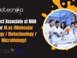 Project Associate at NIAB
