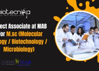 Project Associate at NIAB