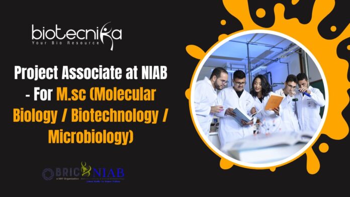 Project Associate at NIAB