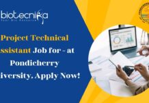 Project Technical Assistant Job for - at Pondicherry