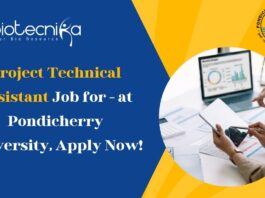 Project Technical Assistant Job for - at Pondicherry