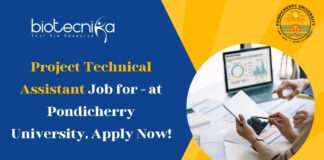 Project Technical Assistant Job for - at Pondicherry