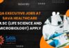 QA Executive Jobs at SAVA Healthcare, Apply Now!