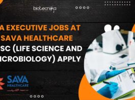 QA Executive Jobs at SAVA Healthcare, Apply Now!