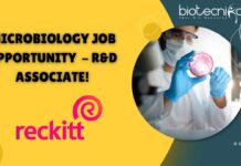 Microbiology Job at Reckitt – Apply Now for R&D Associate! Microbiology Job at Reckitt