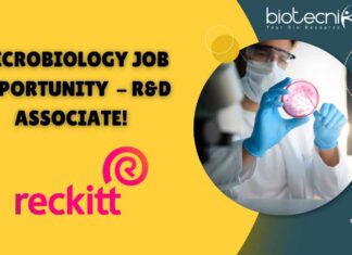 Microbiology Job at Reckitt