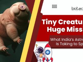 Shubhanshu Shukla Voyagers Tardigrades Mission: What India’s Astronaut Is Taking to Space