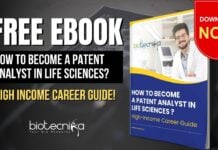 Patent Analyst Career in Life Sciences