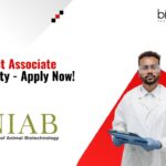 Project Associate Opportunity - Apply Now!