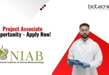 Project Associate Opportunity - Apply Now!