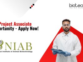 Project Associate Opportunity - Apply Now!