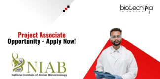 Project Associate Opportunity - Apply Now!