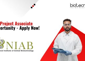 Project Associate Opportunity - Apply Now!