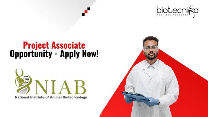 Project Associate Opportunity - Apply Now!
