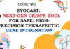 evoCAST: A Next-Gen CRISPR Tool for Safe, High-Precision Therapeutic Gene Integration