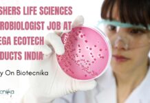Freshers Microbiologist Job at Omega Ecotech Products India