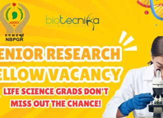 Senior Research Fellow Vacancy NBPGR Delhi Apply Today
