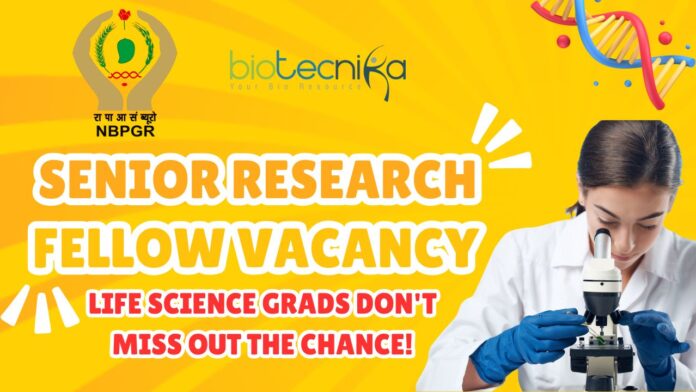 Senior Research Fellow Vacancy NBPGR Delhi Apply Today