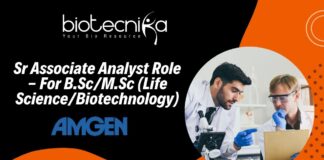 Sr Associate Analyst Role