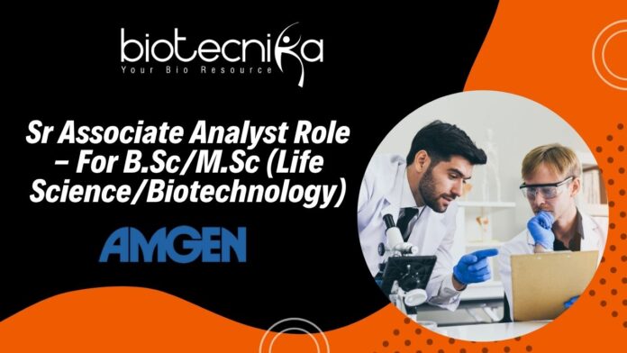 Sr Associate Analyst Role