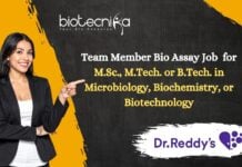 Team Member Bio Assay Job