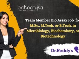 Team Member Bio Assay Job