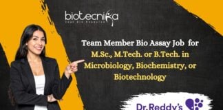 Team Member Bio Assay Job
