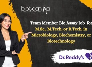 Team Member Bio Assay Job