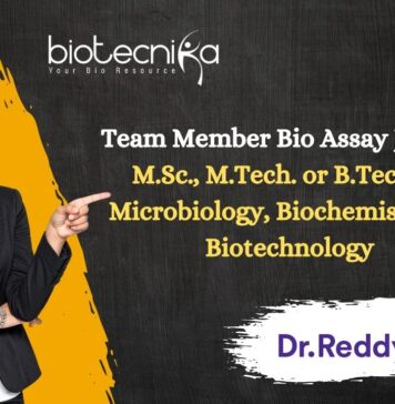 Team Member Bio Assay Job