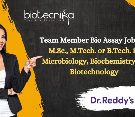 Team Member Bio Assay Job